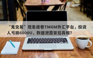 “鬼交易”现象席卷TMGM外汇平台，投资人亏损6000U，数据泄露背后真相？