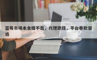 蓝莓市场本金提不出，代理跑路，平台卷款潜逃