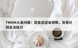 TMGM入金问题：资金迟迟未到账，交易计划无法执行