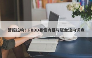 警报拉响！FXDD暴雷内幕与资金流向调查