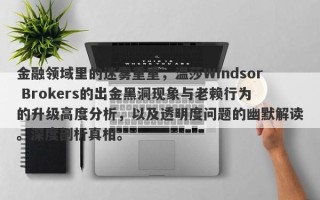 金融领域里的迷雾重重，温莎Windsor Brokers的出金黑洞现象与老赖行为的升级高度分析，以及透明度问题的幽默解读。深度剖析真相。