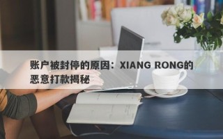 账户被封停的原因：XIANG RONG的恶意打款揭秘