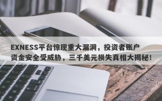 EXNESS平台惊现重大漏洞，投资者账户资金安全受威胁，三千美元损失真相大揭秘！