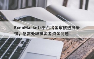 ExenMarkets平台出金审核进展缓慢，急需处理投资者资金问题！