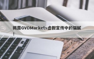 揭露GVDMarkets虚假宣传中的猫腻！