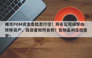 曝光PGM资金盘险恶行径！同名公司成帮凶转移资产，投资者如何自救？告别盈利冻结噩梦！