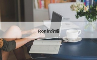 Ronin介绍