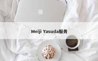 Meiji Yasuda服务