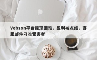 Vebson平台提现困难，盈利被冻结，客服邮件刁难受害者