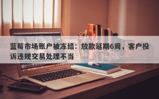 蓝莓市场账户被冻结：放款延期6周，客户投诉违规交易处理不当