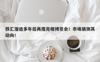 铁汇潜逃多年后再度亮相博览会！市场猜测其动向！