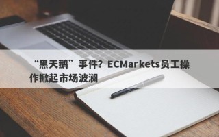 “黑天鹅”事件？ECMarkets员工操作掀起市场波澜