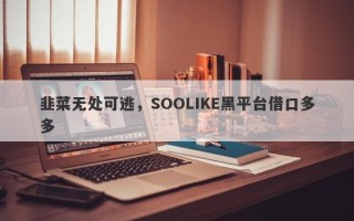 韭菜无处可逃，SOOLIKE黑平台借口多多