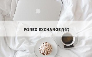 FOREX EXCHANGE介绍