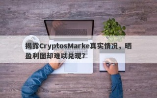 揭露CryptosMarke真实情况，晒盈利图却难以兑现？