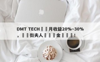 DMT TECH號稱月收益20%~30%，華爾街夫人淪為資金盤幫兇！