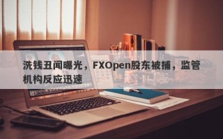 洗钱丑闻曝光，FXOpen股东被捕，监管机构反应迅速