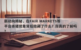 新动向揭秘，在FAIR MARKETS等平台杀猪现象背后隐藏了什么？你真的了解吗？