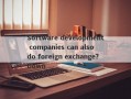 Software development companies can also do foreign exchange?Down