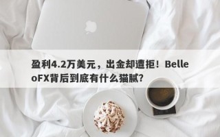 盈利4.2万美元，出金却遭拒！BelleoFX背后到底有什么猫腻？