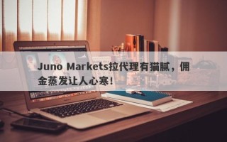 Juno Markets拉代理有猫腻，佣金蒸发让人心寒！