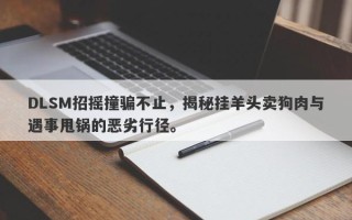 DLSM招摇撞骗不止，揭秘挂羊头卖狗肉与遇事甩锅的恶劣行径。