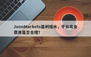 JunoMarkets盈利缩水，平台出金费用是否合理？