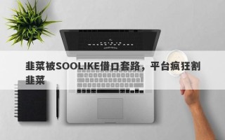 韭菜被SOOLIKE借口套路，平台疯狂割韭菜