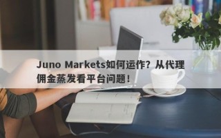 Juno Markets如何运作？从代理佣金蒸发看平台问题！