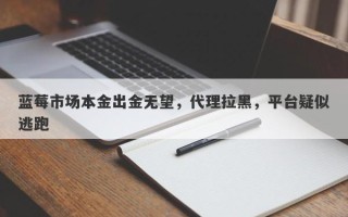 蓝莓市场本金出金无望，代理拉黑，平台疑似逃跑