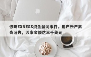 惊曝EXNESS资金漏洞事件，用户账户离奇消失，涉案金额达三千美元