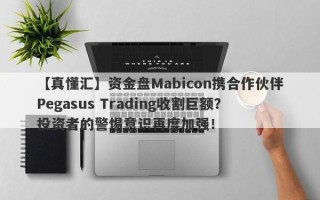 【真懂汇】资金盘Mabicon携合作伙伴Pegasus Trading收割巨额？投资者的警惕意识再度加强！