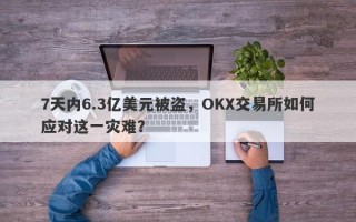 7天内6.3亿美元被盗，OKX交易所如何应对这一灾难？