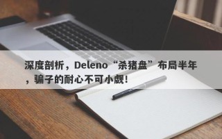 深度剖析，Deleno“杀猪盘”布局半年，骗子的耐心不可小觑！