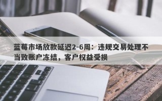 蓝莓市场放款延迟2-6周：违规交易处理不当致账户冻结，客户权益受损