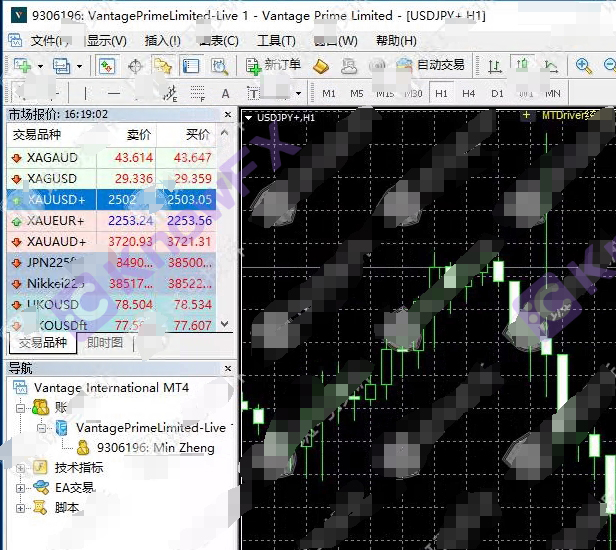 Choqué!L'événement de défi de trading Vantage "fermé" est toujours en train de tricher?Investisseurs réprimands: c'est une grosse arnaque!-第6张图片-要懂汇