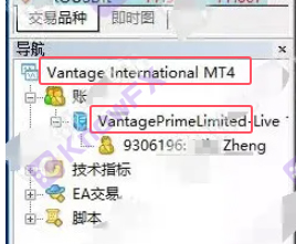 En la superficie de la plataforma Vantage, la supervisión offshore de Cayman, pero se reveló que se reveló que los inversores utilizan entidades no reguladoras de Hong Kong que cosechan clientes chinos.-第15张图片-要懂汇