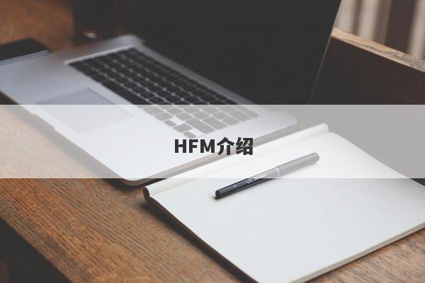 HFM介绍-第1张图片-要懂汇