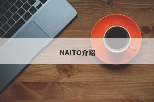 NAITO介绍-第1张图片-要懂汇