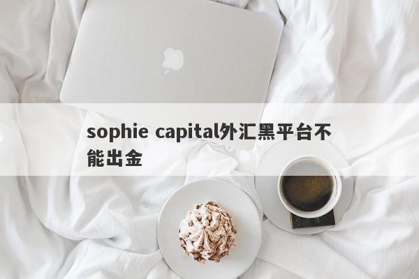 sophie capital外汇黑平台不能出金-第1张图片-要懂汇