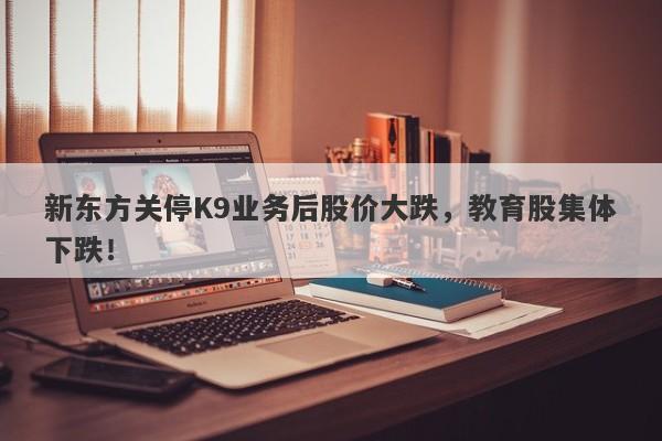 新东方关停K9业务后股价大跌，教育股集体下跌！-第1张图片-要懂汇