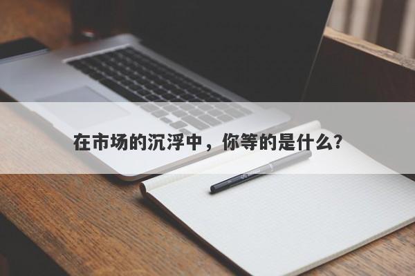 在市场的沉浮中，你等的是什么？-第1张图片-要懂汇