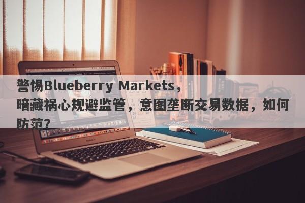 警惕Blueberry Markets，暗藏祸心规避监管，意图垄断交易数据，如何防范？-第1张图片-要懂汇