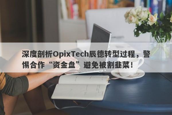 深度剖析OpixTech辰德转型过程，警惕合作“资金盘”避免被割韭菜！-第1张图片-要懂汇