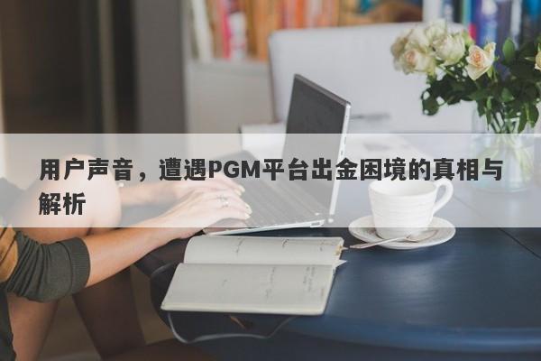 用户声音，遭遇PGM平台出金困境的真相与解析-第1张图片-要懂汇