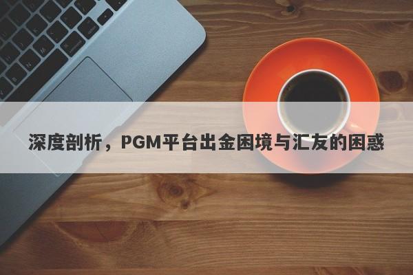 深度剖析，PGM平台出金困境与汇友的困惑-第1张图片-要懂汇