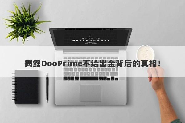 揭露DooPrime不给出金背后的真相！-第1张图片-要懂汇