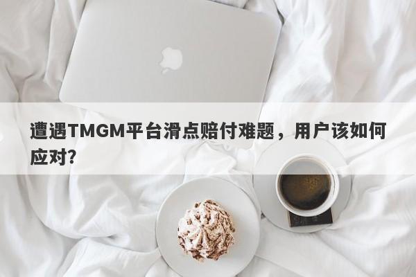 遭遇TMGM平台滑点赔付难题，用户该如何应对？-第1张图片-要懂汇