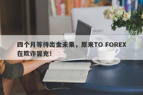 四个月等待出金未果，原来TO FOREX在欺诈冒充！-第1张图片-要懂汇