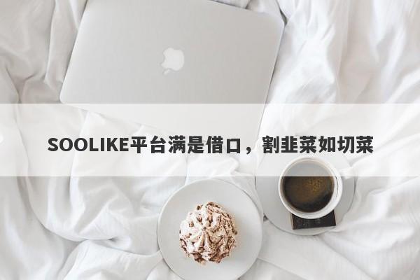 SOOLIKE平台满是借口，割韭菜如切菜-第1张图片-要懂汇